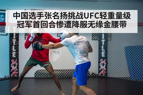 UFC fight