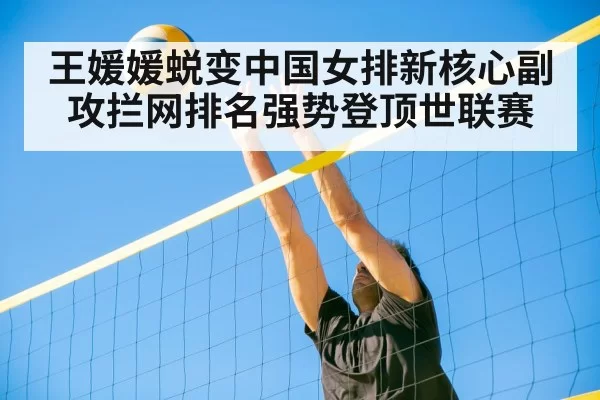 volleyball net defense
